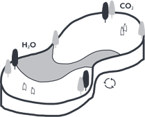 Analisa Lingkungan Icon